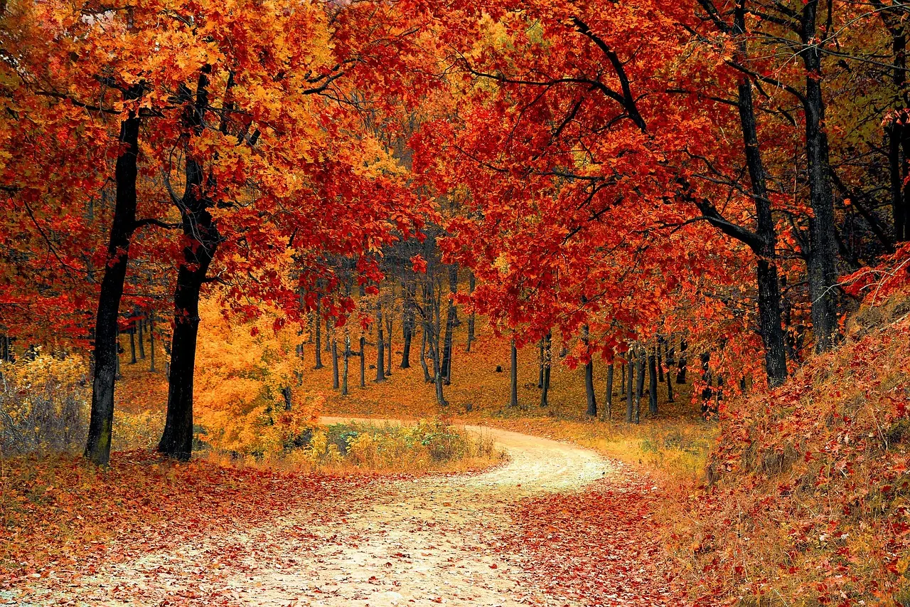 Gifts for nature lovers, gardeners, walkers and birdwatchers