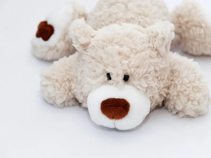 A first teddy bear
