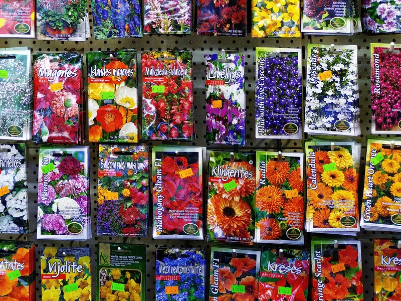 A pack of seed packets
