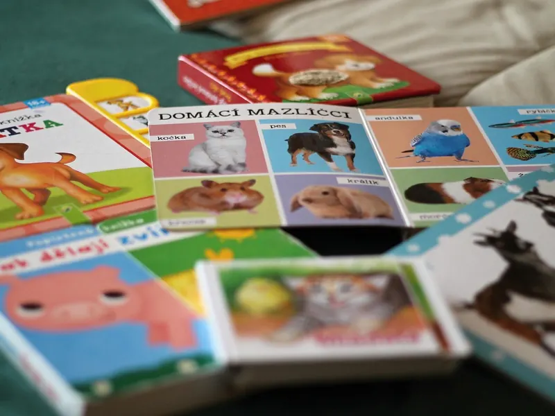 A first picture book collection
