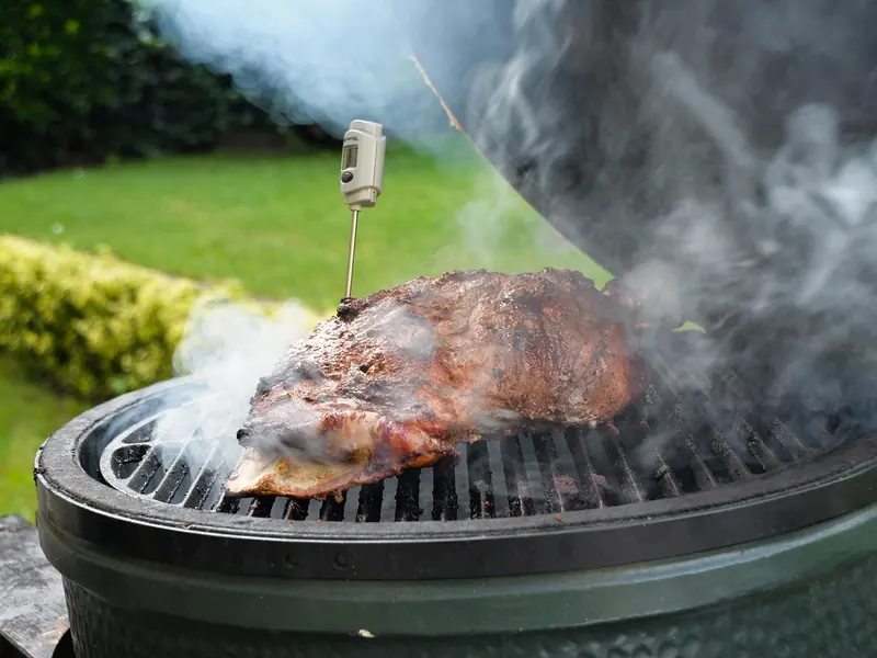 A digital meat thermometer