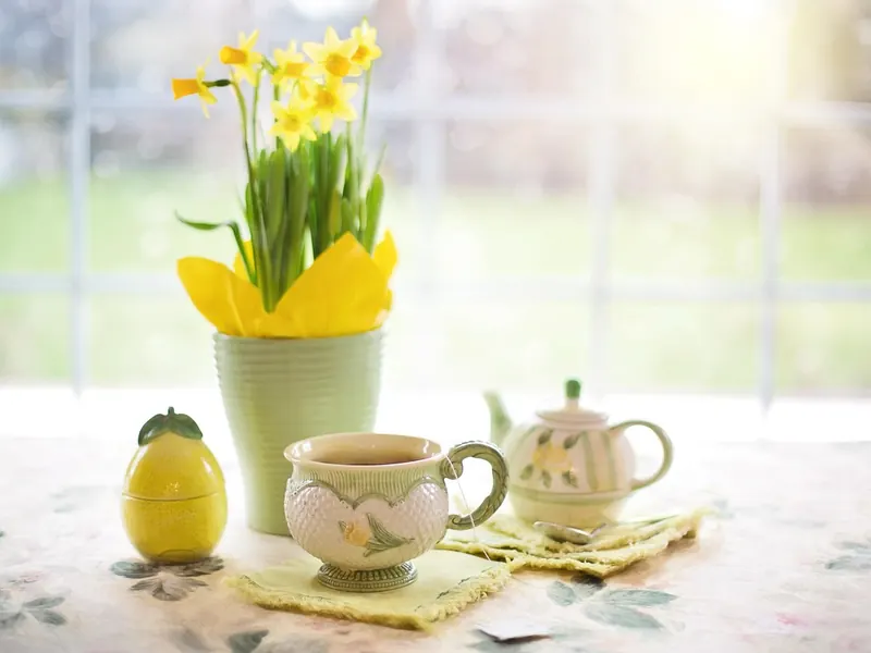 A bowl of spring bulbs