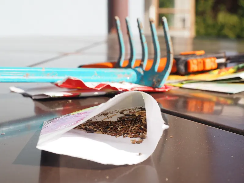 A pack of seed packets
