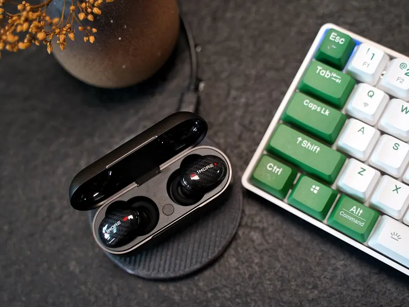 Wireless earbuds