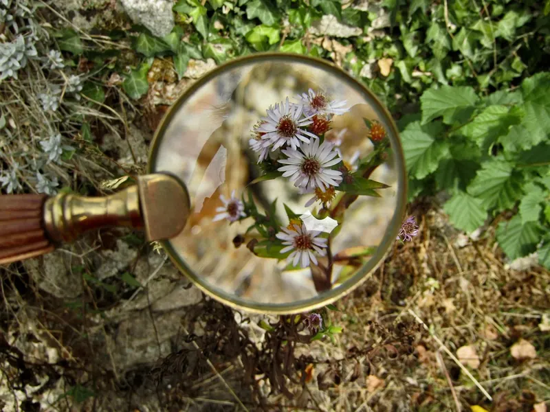 A nature explorer kit