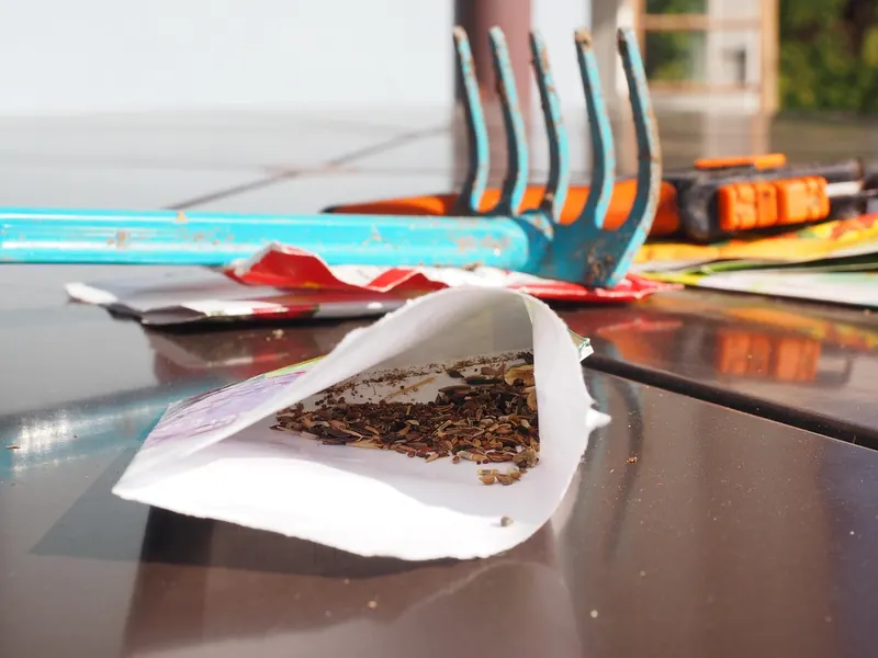 A packet of cut-flower seeds