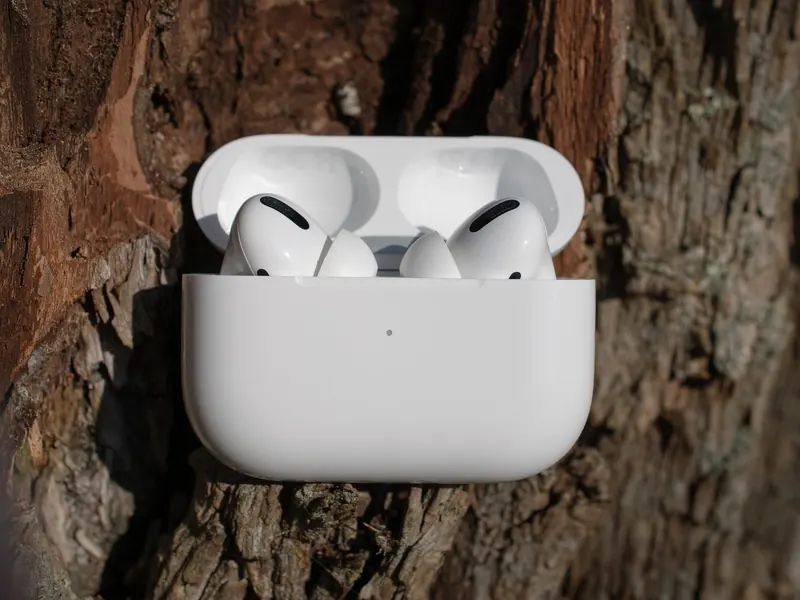 Wireless earbuds