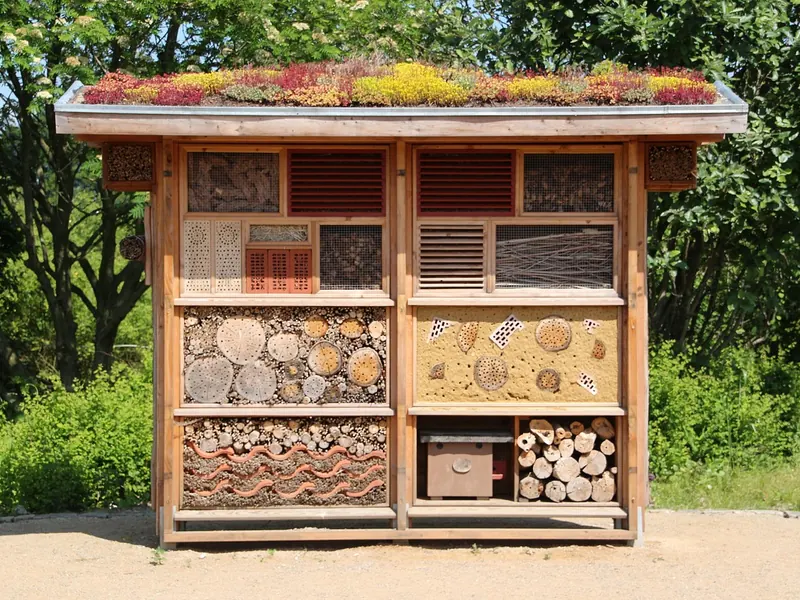 A bug hotel