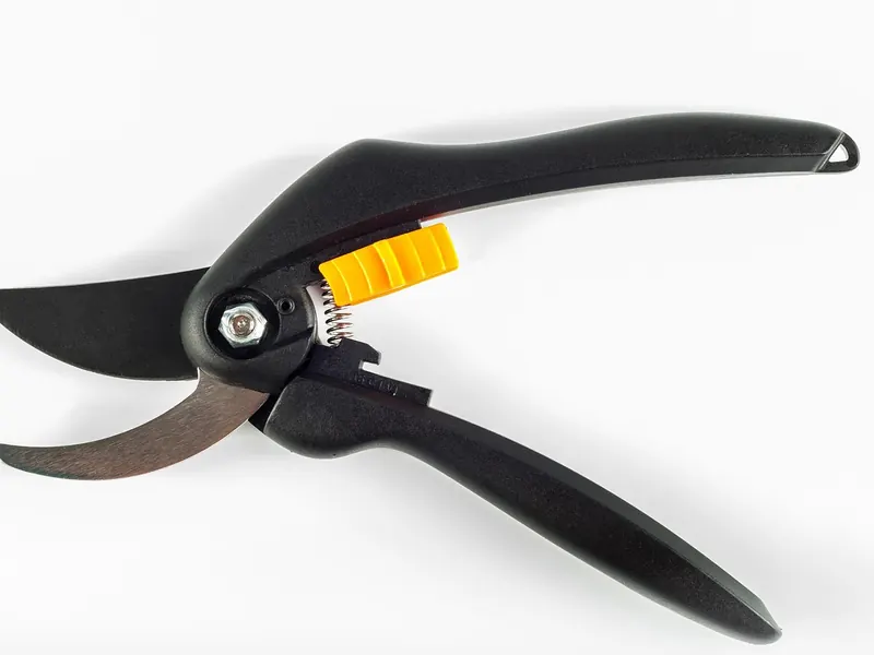 A pair of sharp secateurs