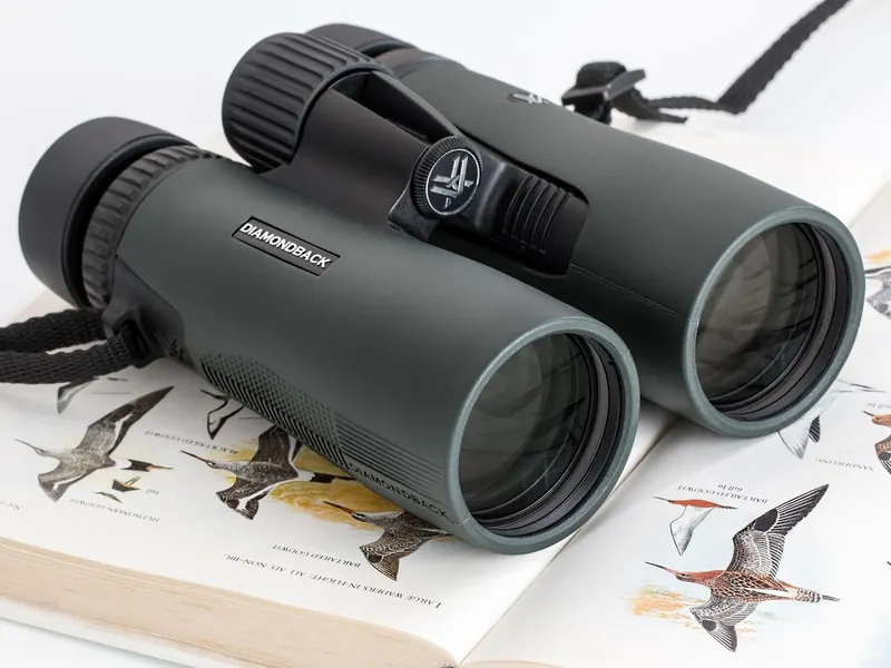 A field guide to British birds